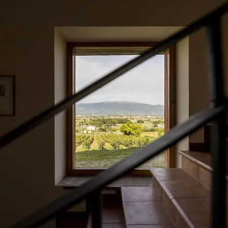 Private With Swimming Pool In The Heart Of Umbria