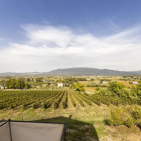 Private With Swimming Pool In The Heart Of Umbria 빌라 베바냐